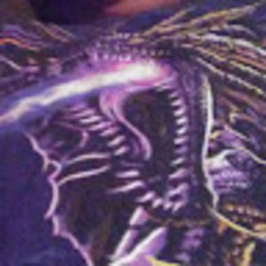 Meet your Posher, Nathaniel